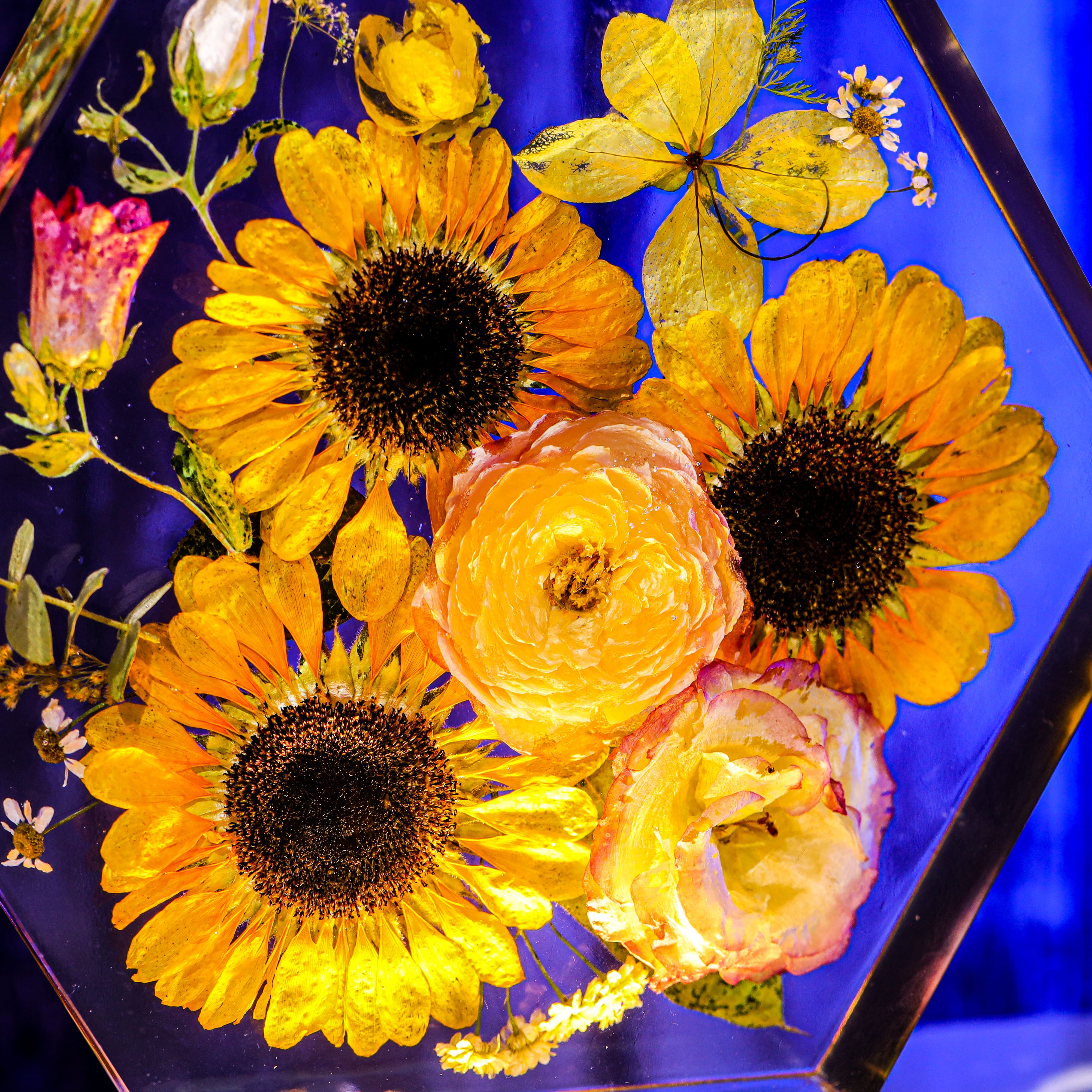 Hexagon Real Sunflower Night Light