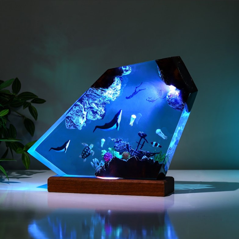 Orca and divers night light