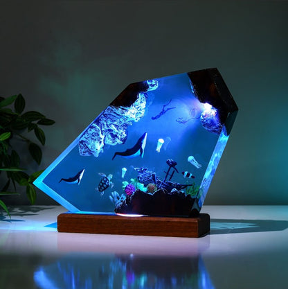 Orca and divers night light