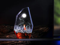 Red Fox in the Winter Night Light - image 21