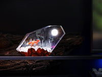 Red Fox in the Winter Night Light - image 17