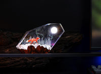 Red Fox in the Winter Night Light - image 18
