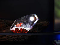 Red Fox in the Winter Night Light - image 19
