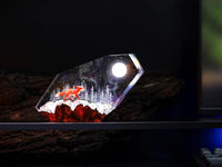 Red Fox in the Winter Night Light - image 20
