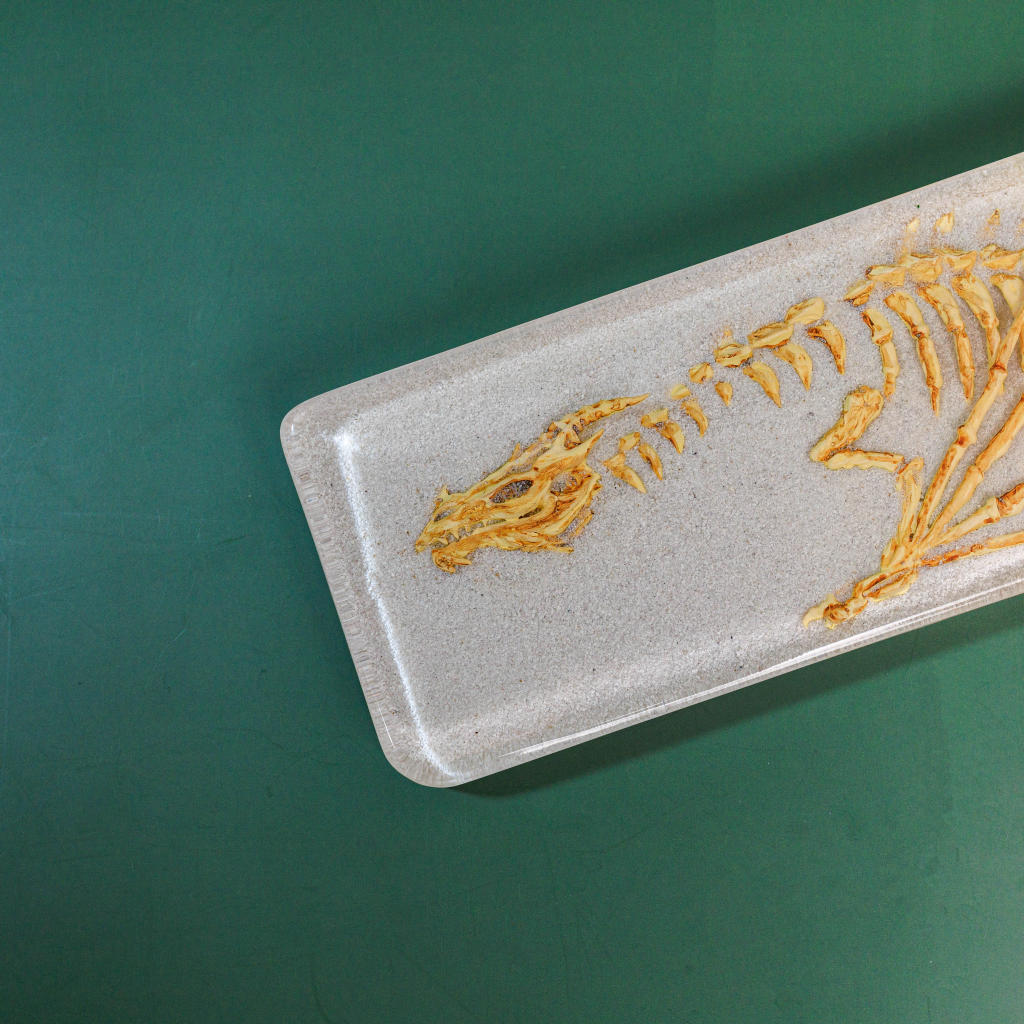Fossil Dragon Keyboard Wrist Rest