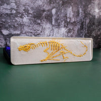 Fossil Dragon Keyboard Wrist Rest - image 3