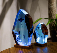 Manta Rays and Diver Night Lights - image 3