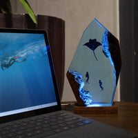 Manta Rays and Diver Night Lights - image 5